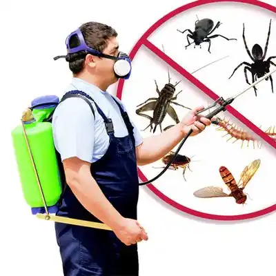 pest control Floral Park